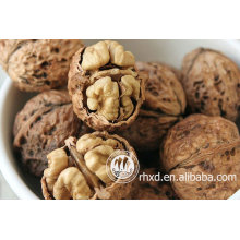 best walnuts in shell price for Turkey